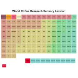 WCR Sensory Lexicon