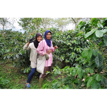 Sumatra Mandheling