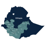 Ethiopia Washed Yirgacheffe