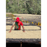 61347 Ethiopia Washed Yirgacheffe